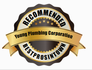 Young plumbing corporation logo