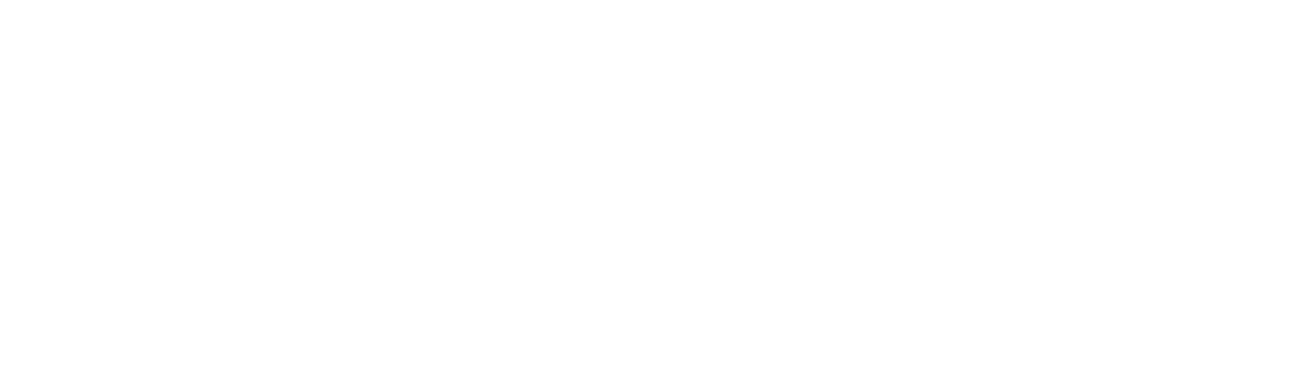 Bradford White water heater logo.